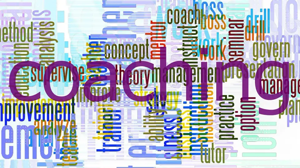 A coach is a specialist who stimulates clients to self-learn