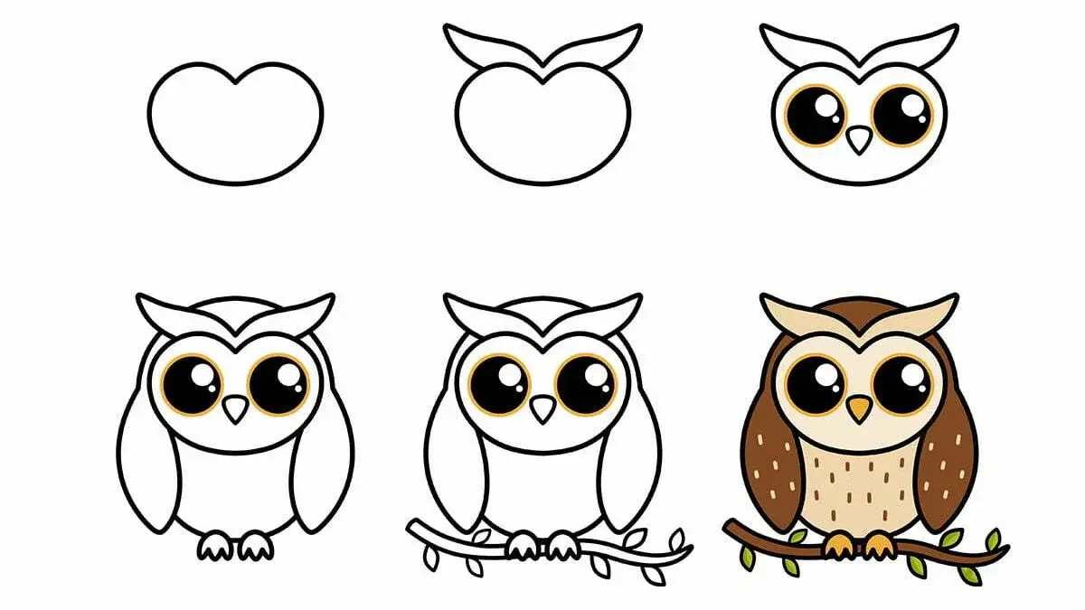 Easy owl drawing for kids aged 9–10