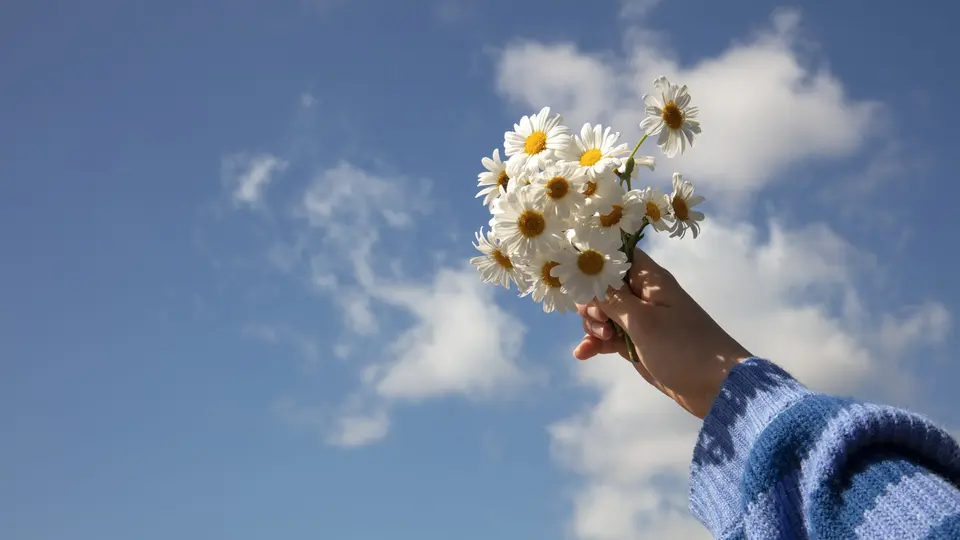 Have a good day