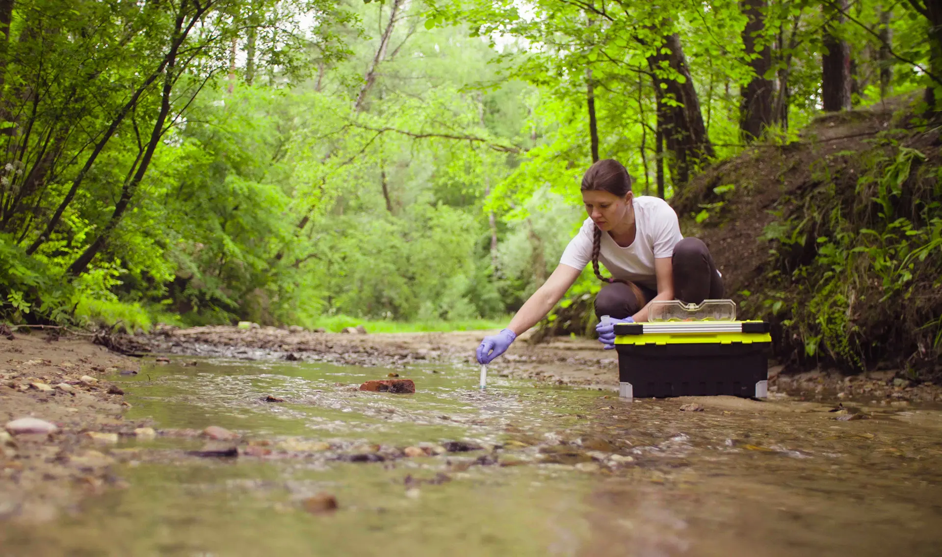 Where ecologists work