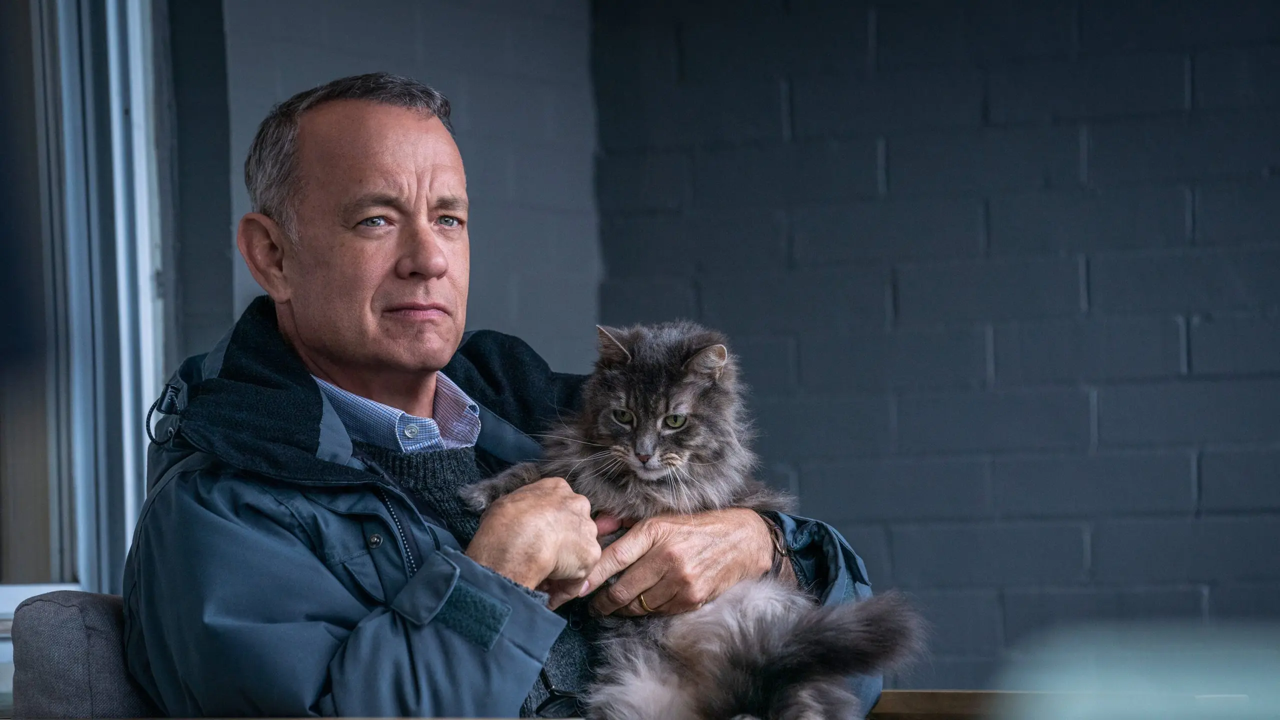 Netflix movies A Man Called Otto