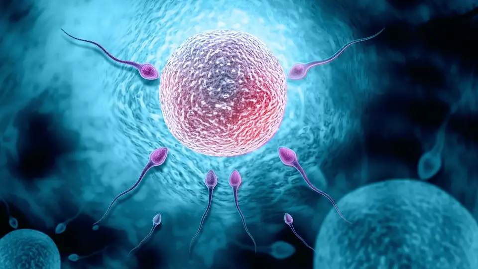 Reproductive health